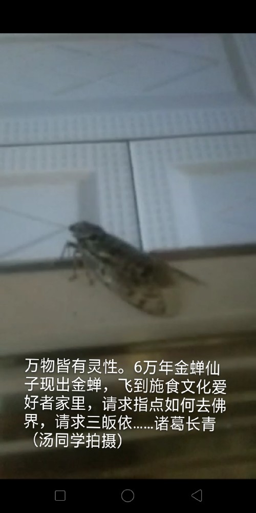 1628392942108380.jpg 001lU6Czzy7OnH1OAKRc9.jpg