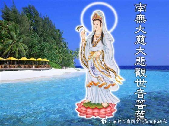 1630981546126826.jpg 001lU6Czzy7PAI9jT07db.jpg