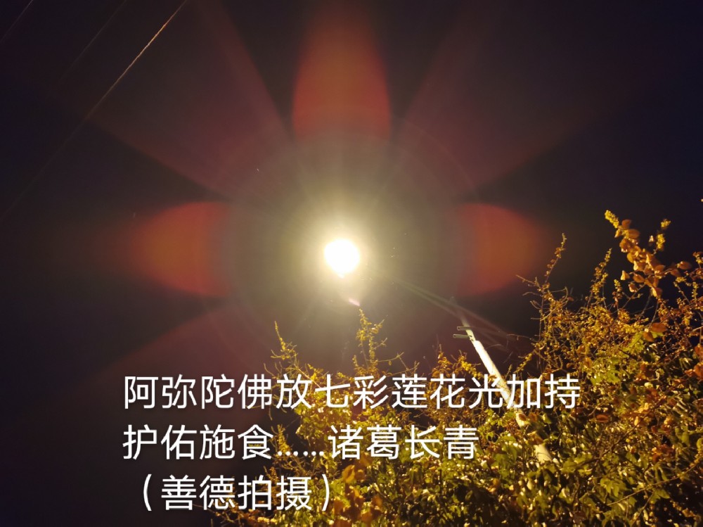 1632470535125703.jpg