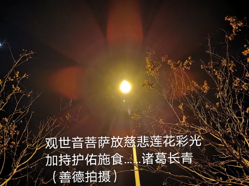 1639548149964094.jpg 001lU6Czzy7SaftL9in8f.jpg