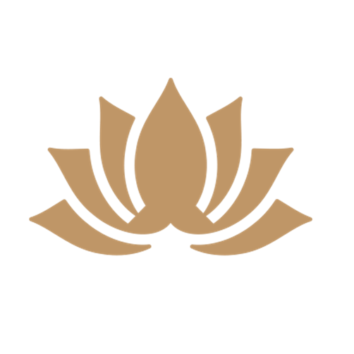 1670638448227591.png image.png