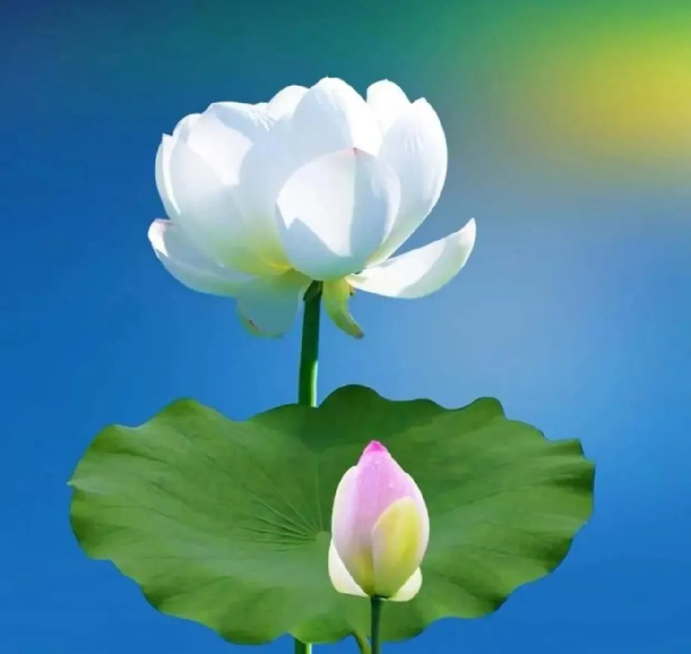 1676427402174812.png image.png