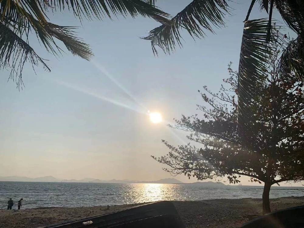 1679620312608851.png image.png